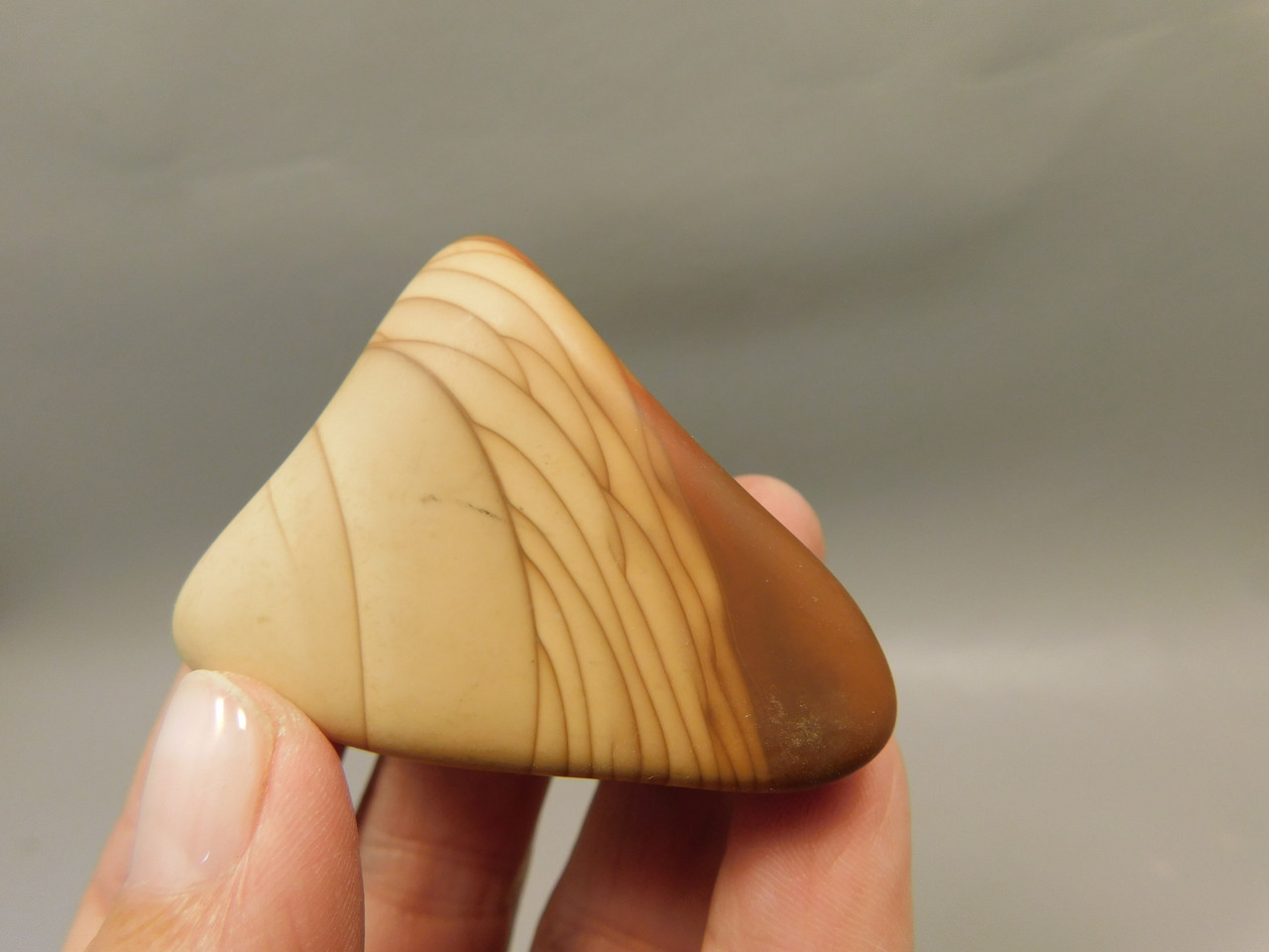 Bruneau Jasper 2 Tumbled Matte Finish Rock Oregon #O100