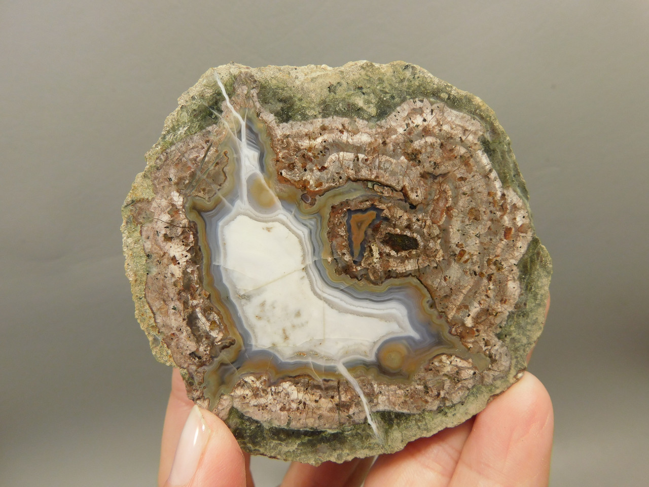 Mushroom Jasper Thunderegg Polished Rock Geode Blue Agate #O26