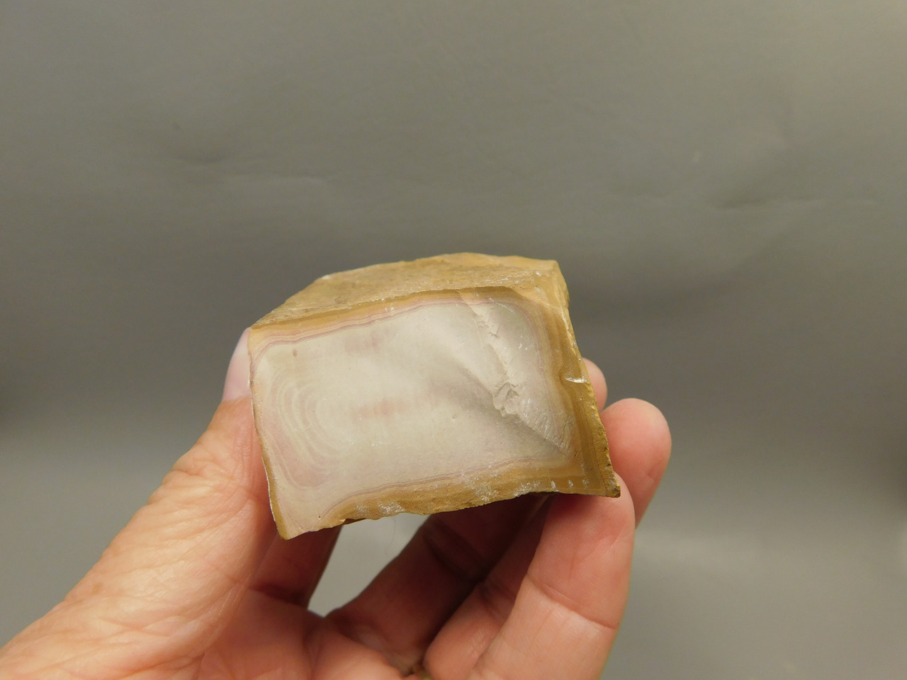 Wonderstone Rhyolite Polished Rock Utah #O10