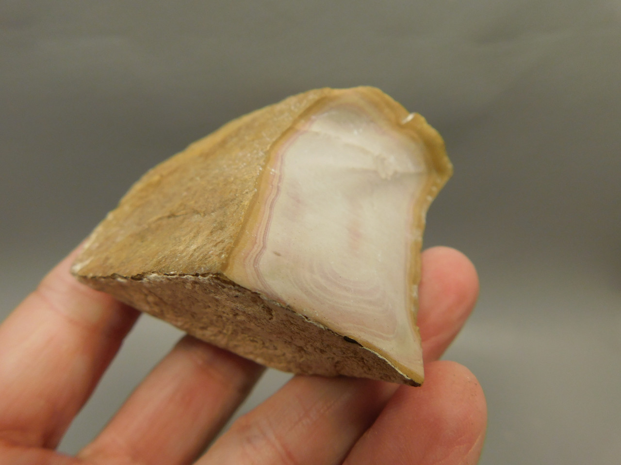 Wonderstone Rhyolite Polished Rock Utah #O10