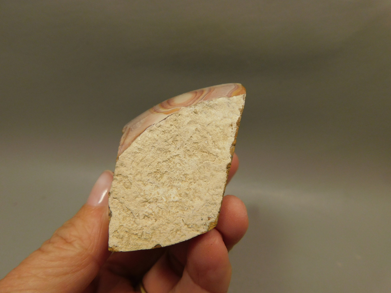 Wonderstone Rhyolite Polished Rock Utah #O10