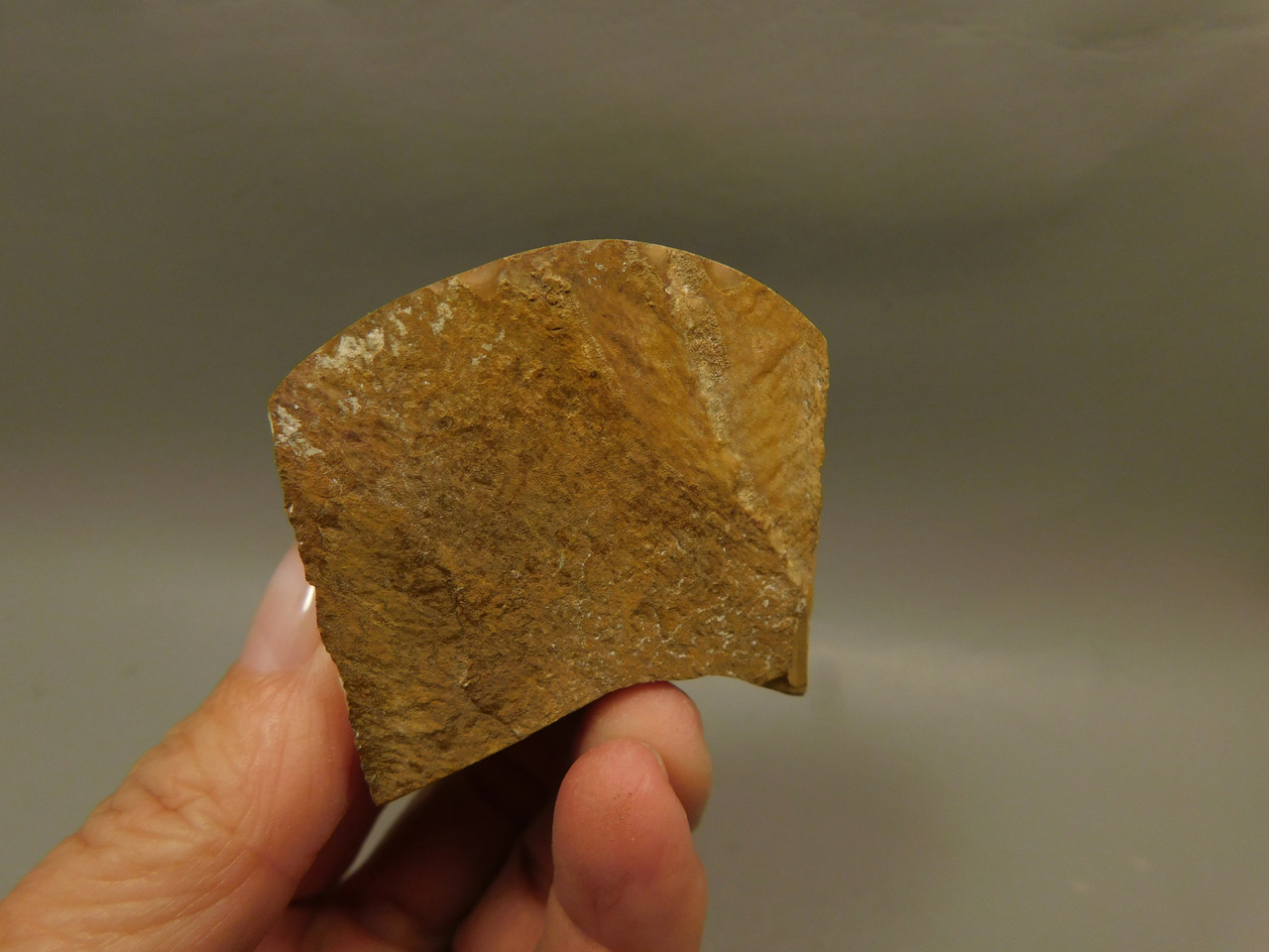 Wonderstone Rhyolite Polished Rock Utah #O10