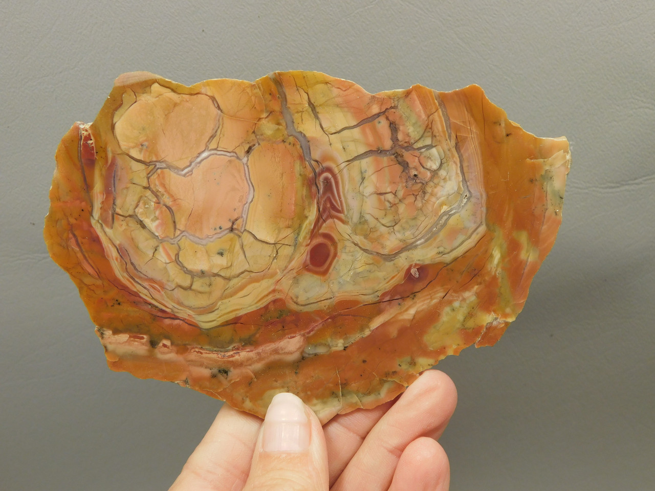 Chapenite Jasper Polished Stone Slab Ft. Irwin California #O5