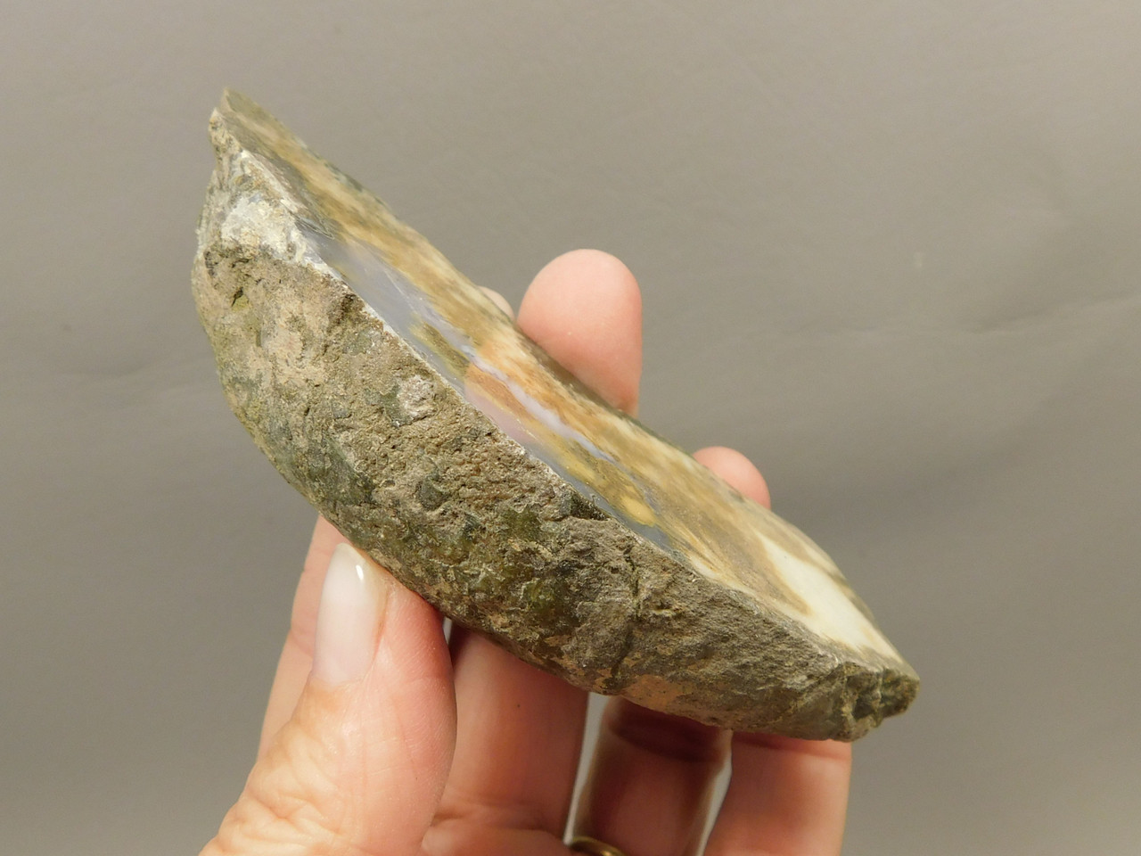 Owls Hole Agate Polished Stone Collector Sagenite Rock #O5