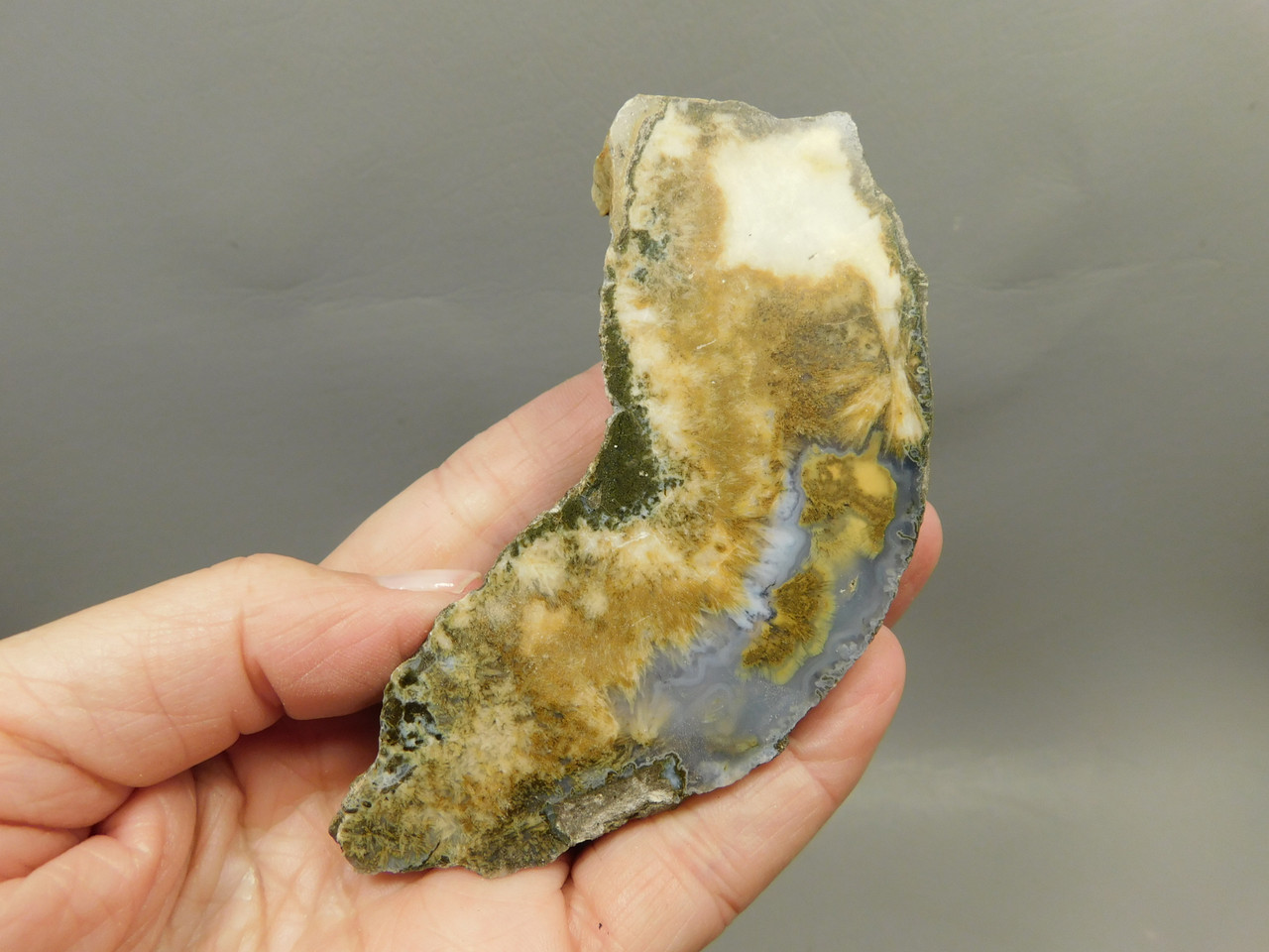 Owls Hole Agate Polished Stone Collector Sagenite Rock #O5