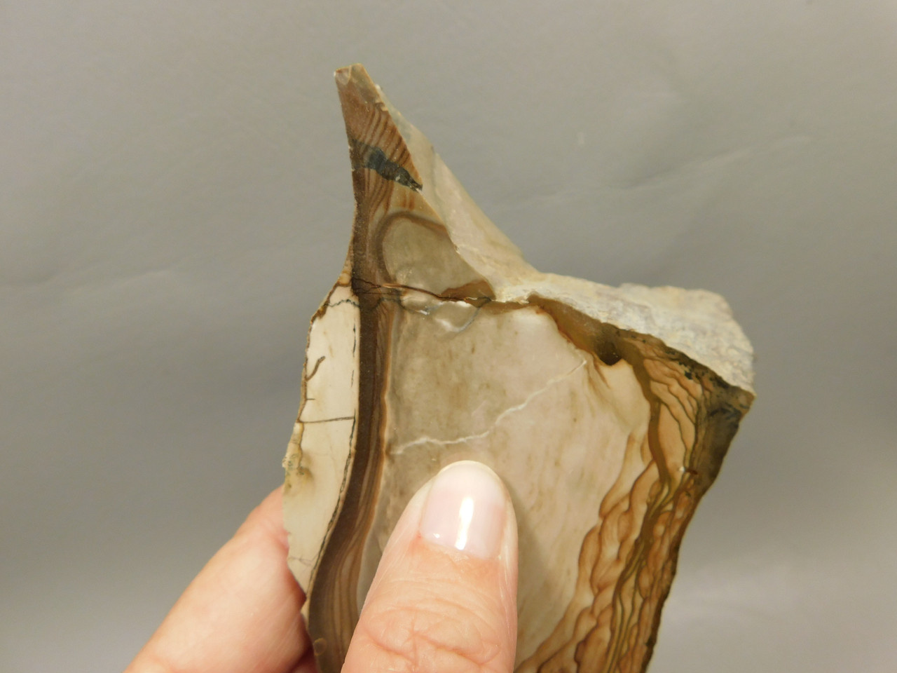 Deschutes Jasper Polished Stone Collector Rock Oregon #O11