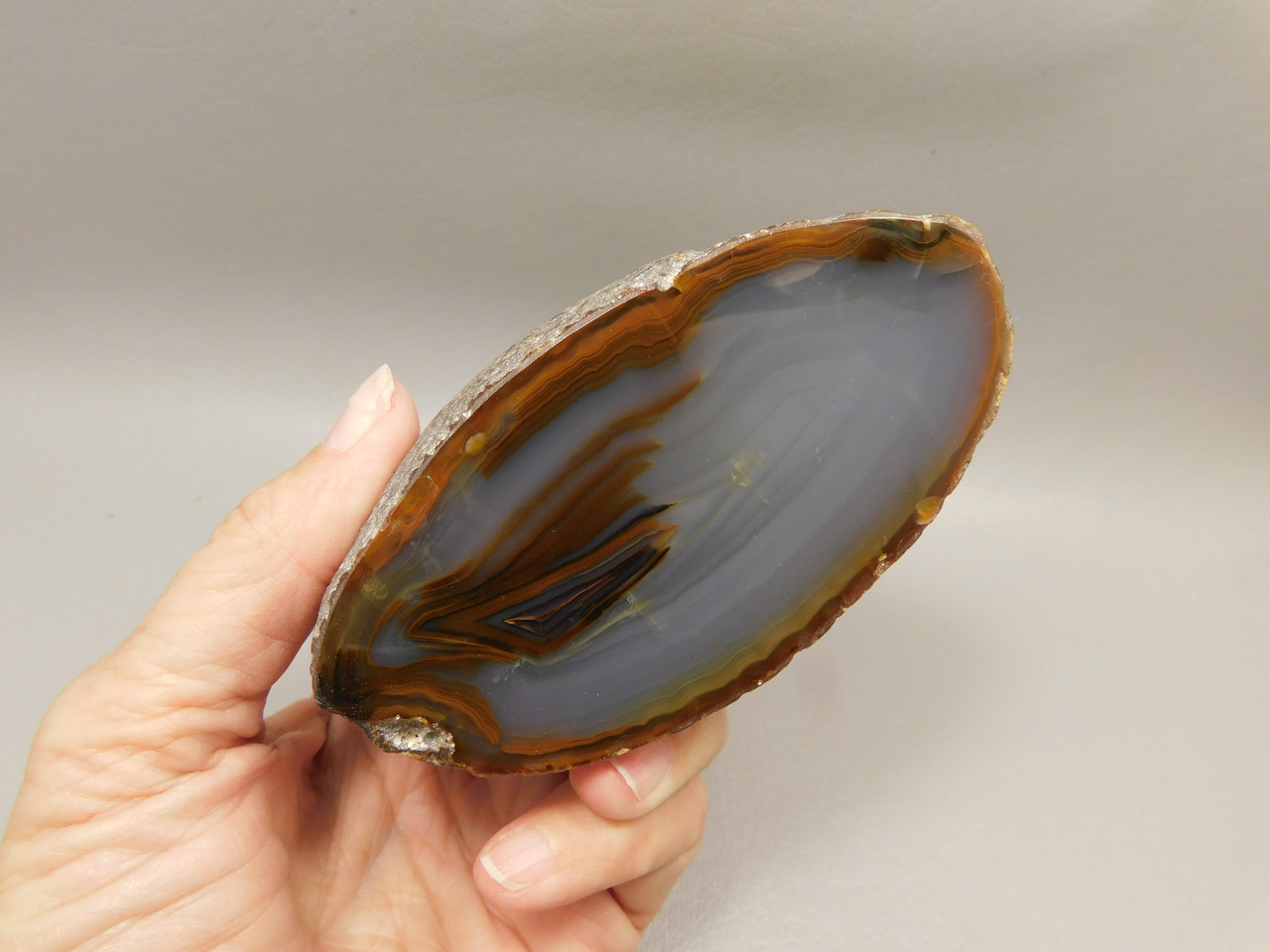 Brazilian Piranha Agate Collector Polished Rock Nodule #O15
