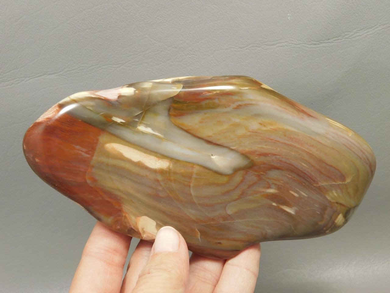 Rainbow Petrified Wood Tumbled Polished Rock Arizona #O1