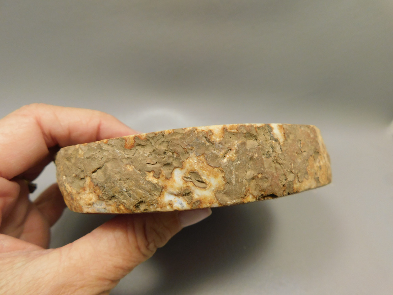 Brazilian Agate Polished Stone Slab Orange Banded Rock #O2