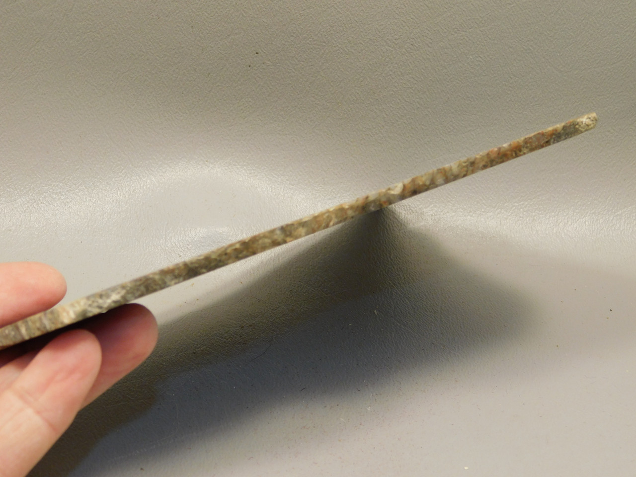 Dinosaur Bone Fossilized Polished Rock Stone Slab #O6