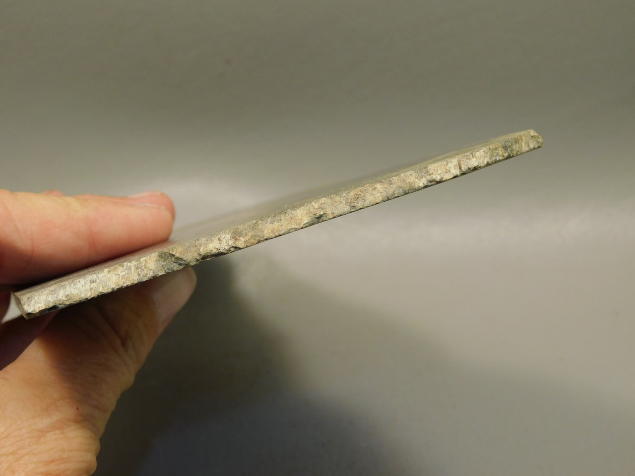 Dinosaur Bone Fossilized Polished Rock Stone Slab #O6