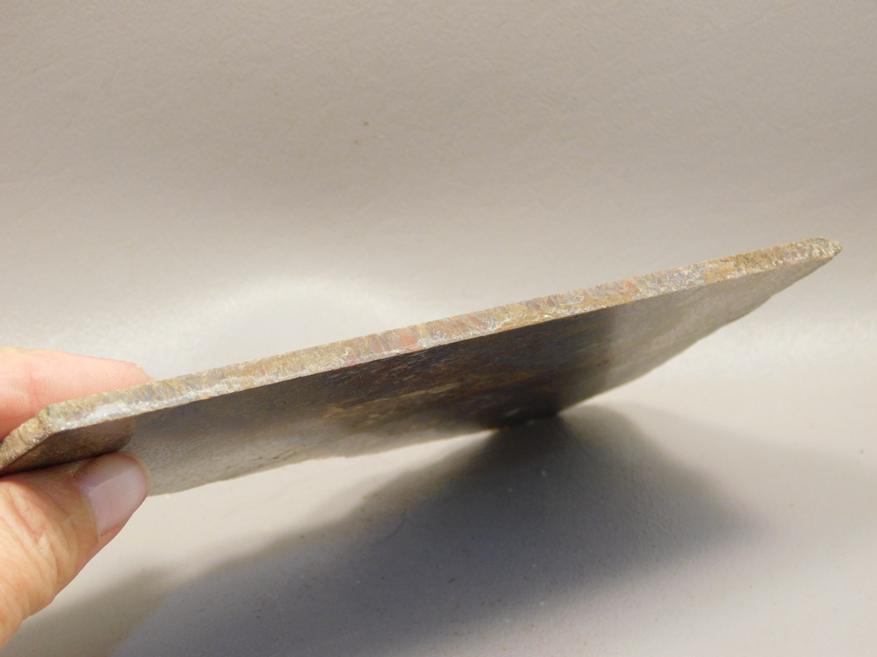 Dinosaur Bone Fossilized Polished Rock Stone Slab #O6