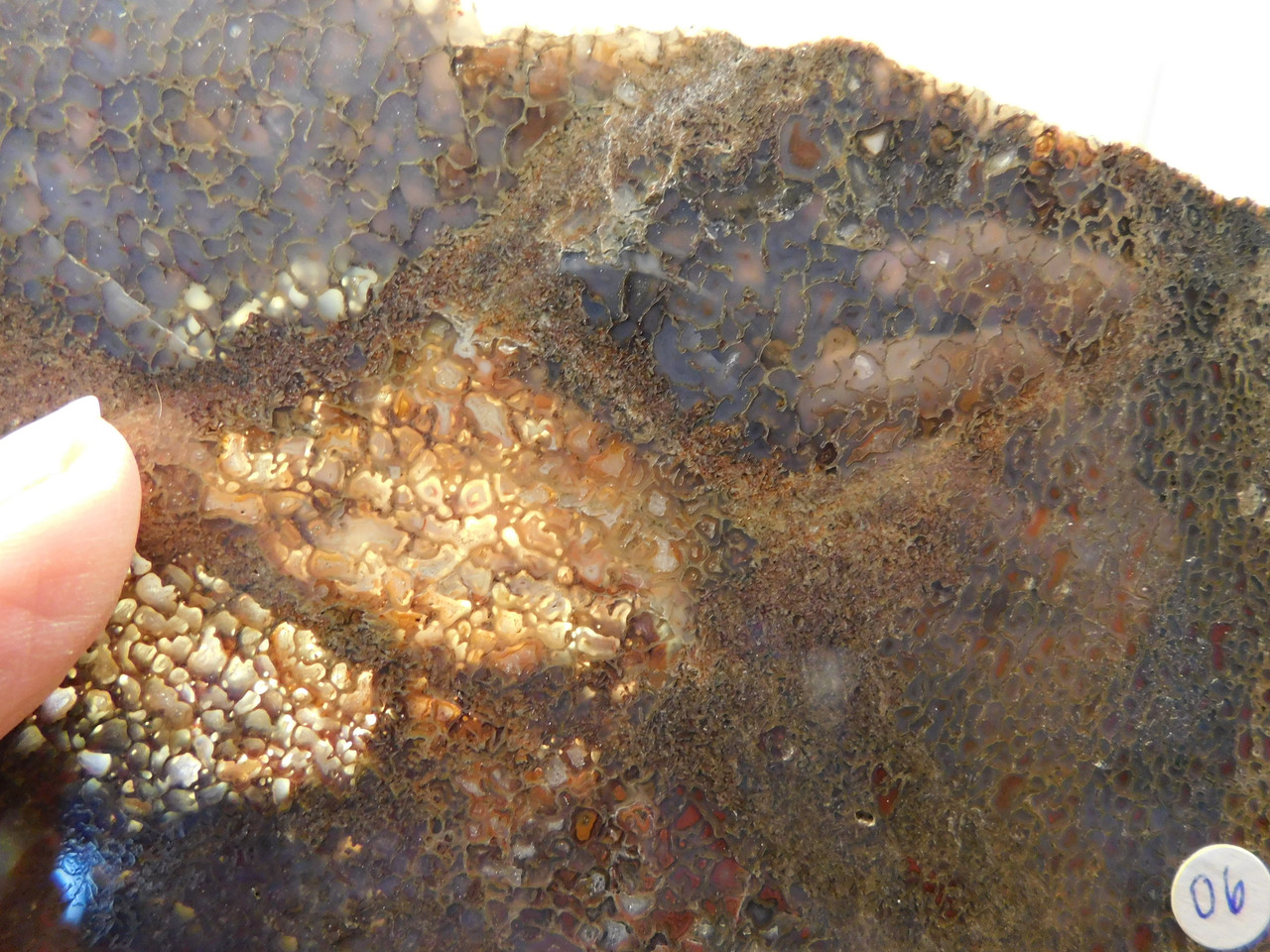 Dinosaur Bone Fossilized Polished Rock Stone Slab #O6