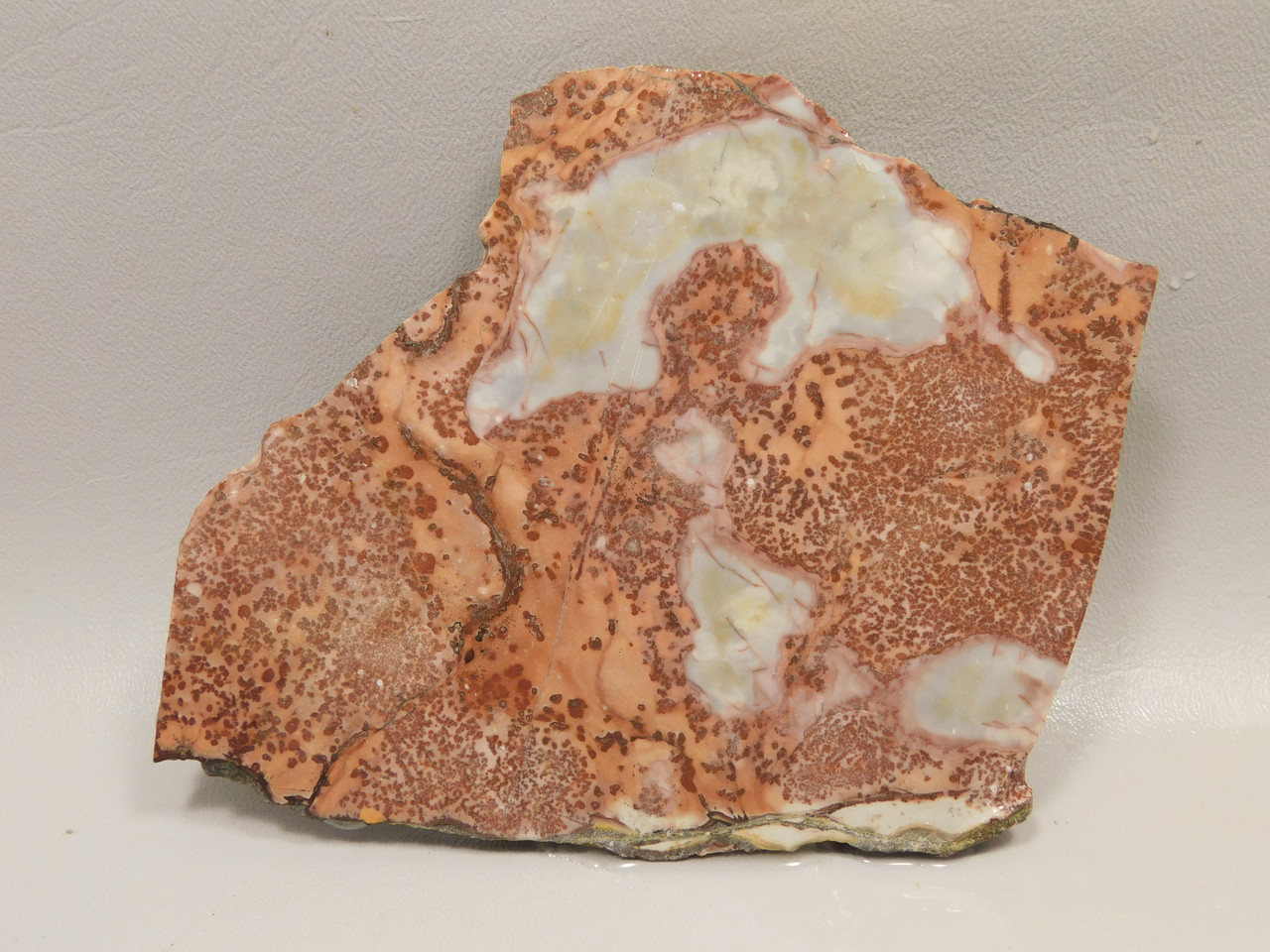 Red Sage Picture Stone Jasper Slab Rough Rock Cabbing Cutting #O4