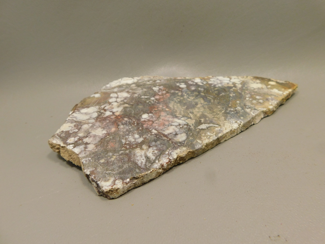 Wild Horse Stone Slab Unpolished Rough Rock Arizona #O6