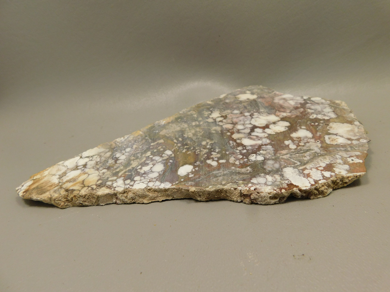 Wild Horse Stone Slab Unpolished Rough Rock Arizona #O7