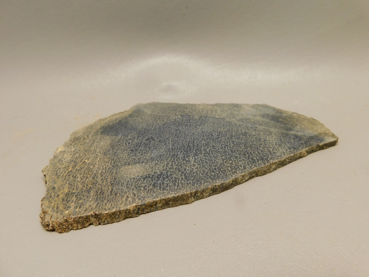 Dinosaur Bone Fossilized Unpolished Lapidary Stone Slab #O1