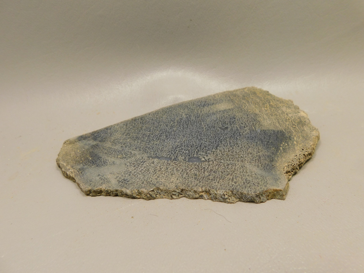 Dinosaur Bone Fossilized Unpolished Lapidary Stone Slab #O1