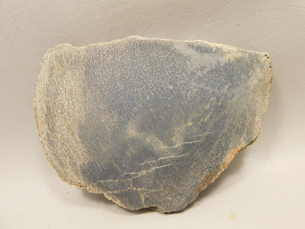 Dinosaur Bone Fossilized Unpolished Lapidary Stone Slab #O2