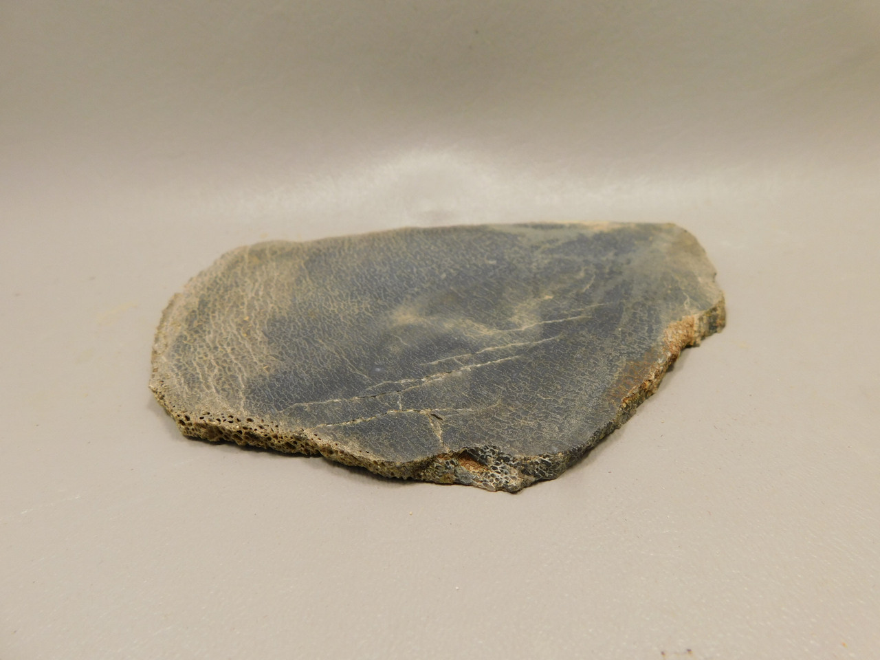 Dinosaur Bone Fossilized Unpolished Lapidary Stone Slab #O2