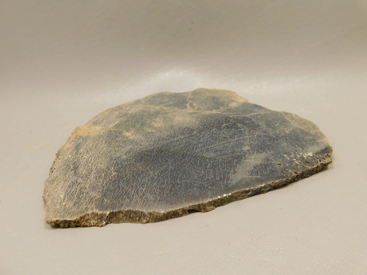 Dinosaur Bone Fossilized Unpolished Lapidary Stone Slab #O3