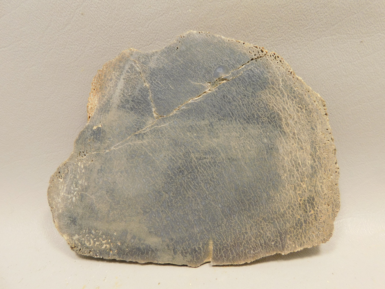 Dinosaur Bone Fossilized Unpolished Lapidary Stone Slab #O3