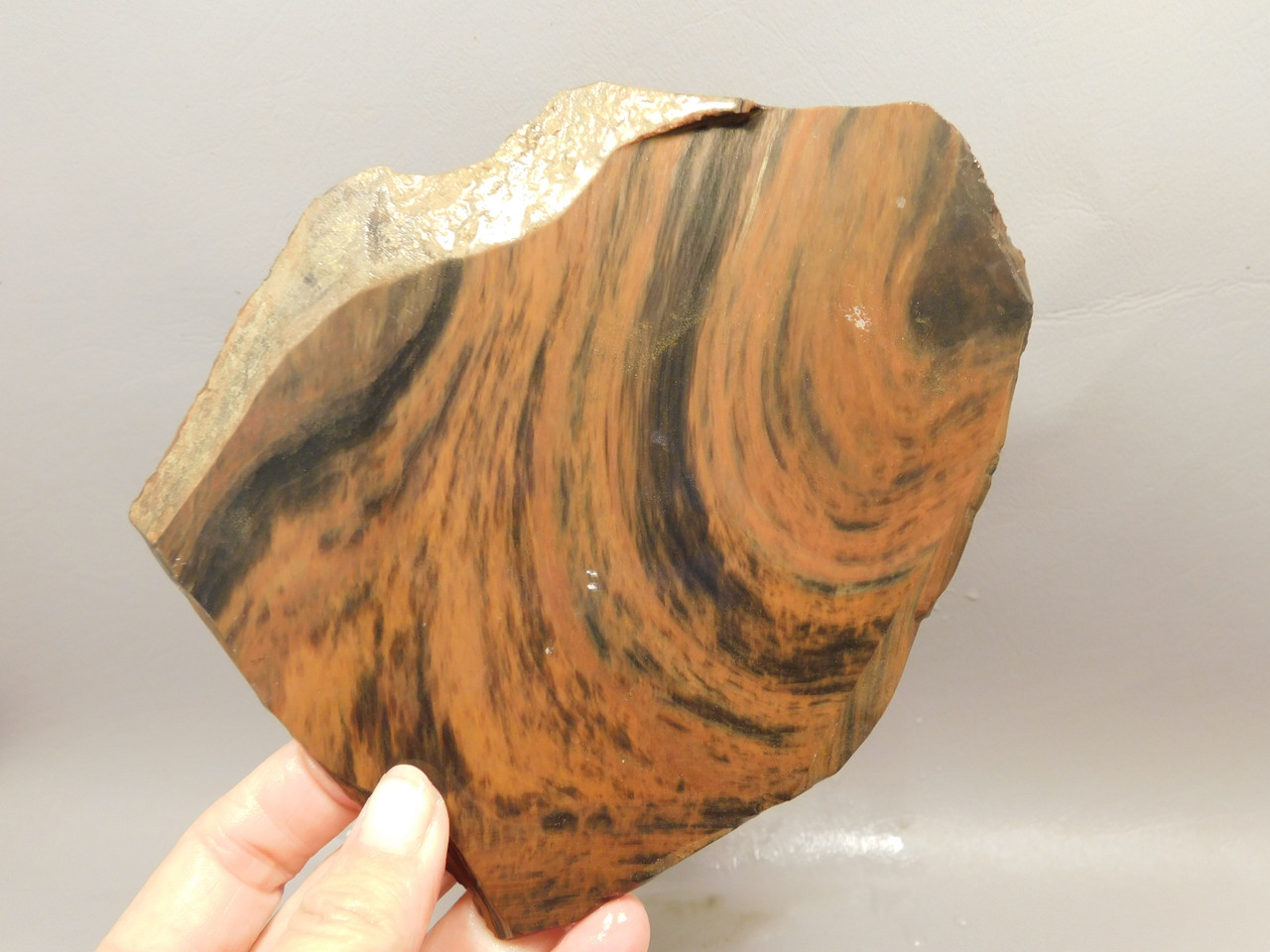 Mahogany Obsidian Stone Slab Rough Rock Oregon #O2