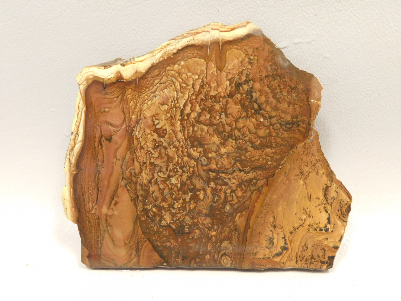Deschutes Jasper Stone Slab Unpolished Rough Rock Oregon #O5