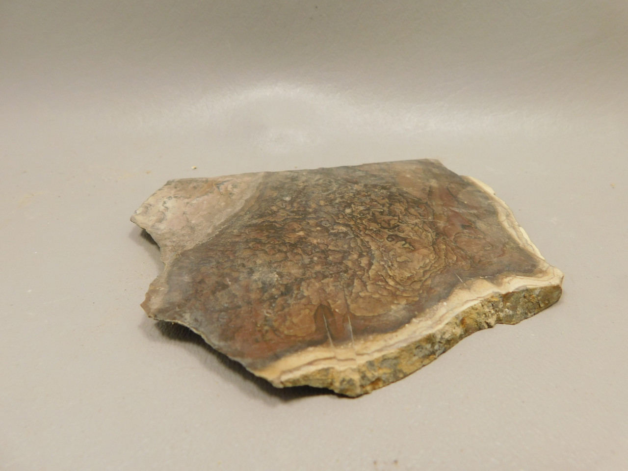 Deschutes Jasper Stone Slab Unpolished Rough Rock Oregon #O5