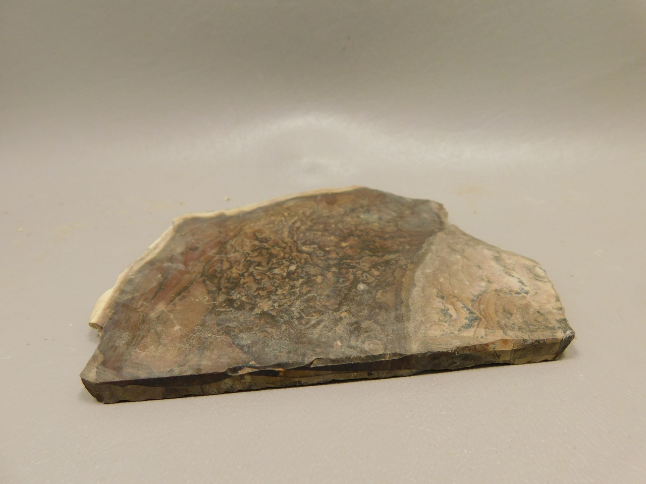 Deschutes Jasper Stone Slab Unpolished Rough Rock Oregon #O5
