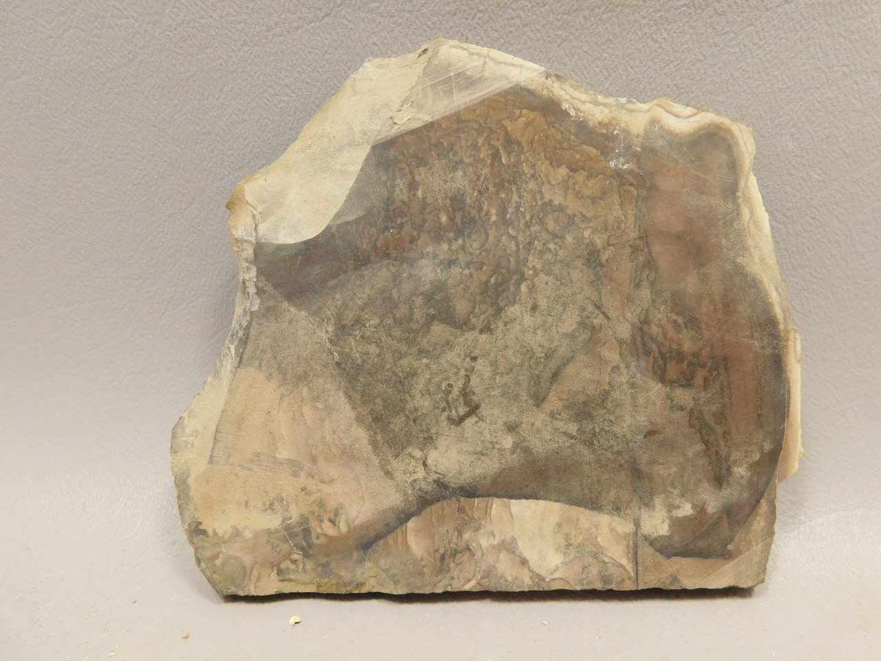 Deschutes Jasper Stone Slab Unpolished Rough Rock Oregon #O5