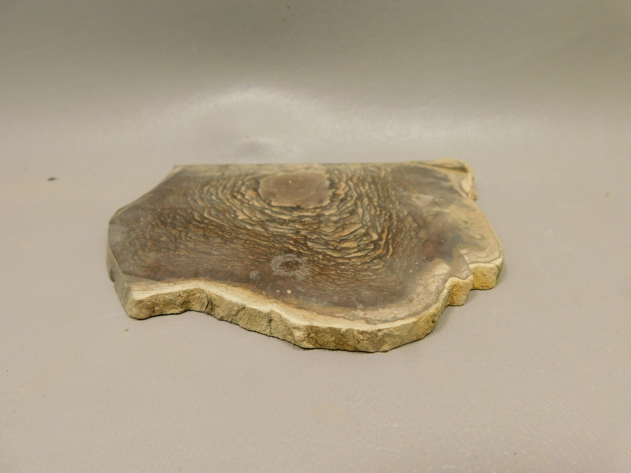 Deschutes Jasper Stone Slab Unpolished Rough Rock Oregon #O6
