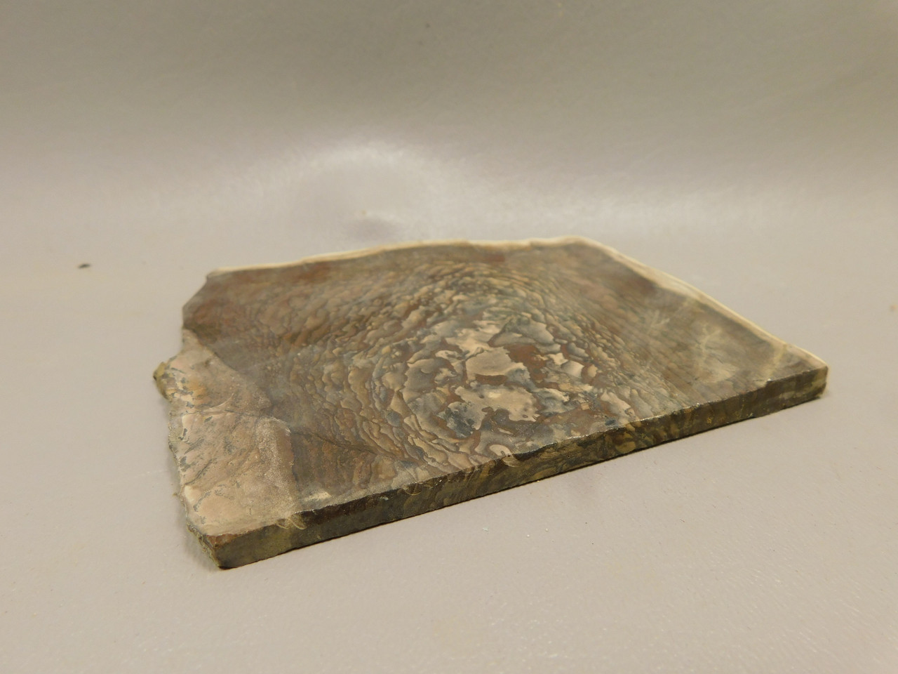Deschutes Jasper Stone Slab Unpolished Rough Rock Oregon #O7