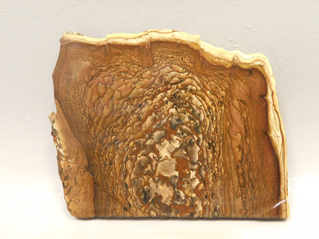 Deschutes Jasper Stone Slab Unpolished Rough Rock Oregon #O7