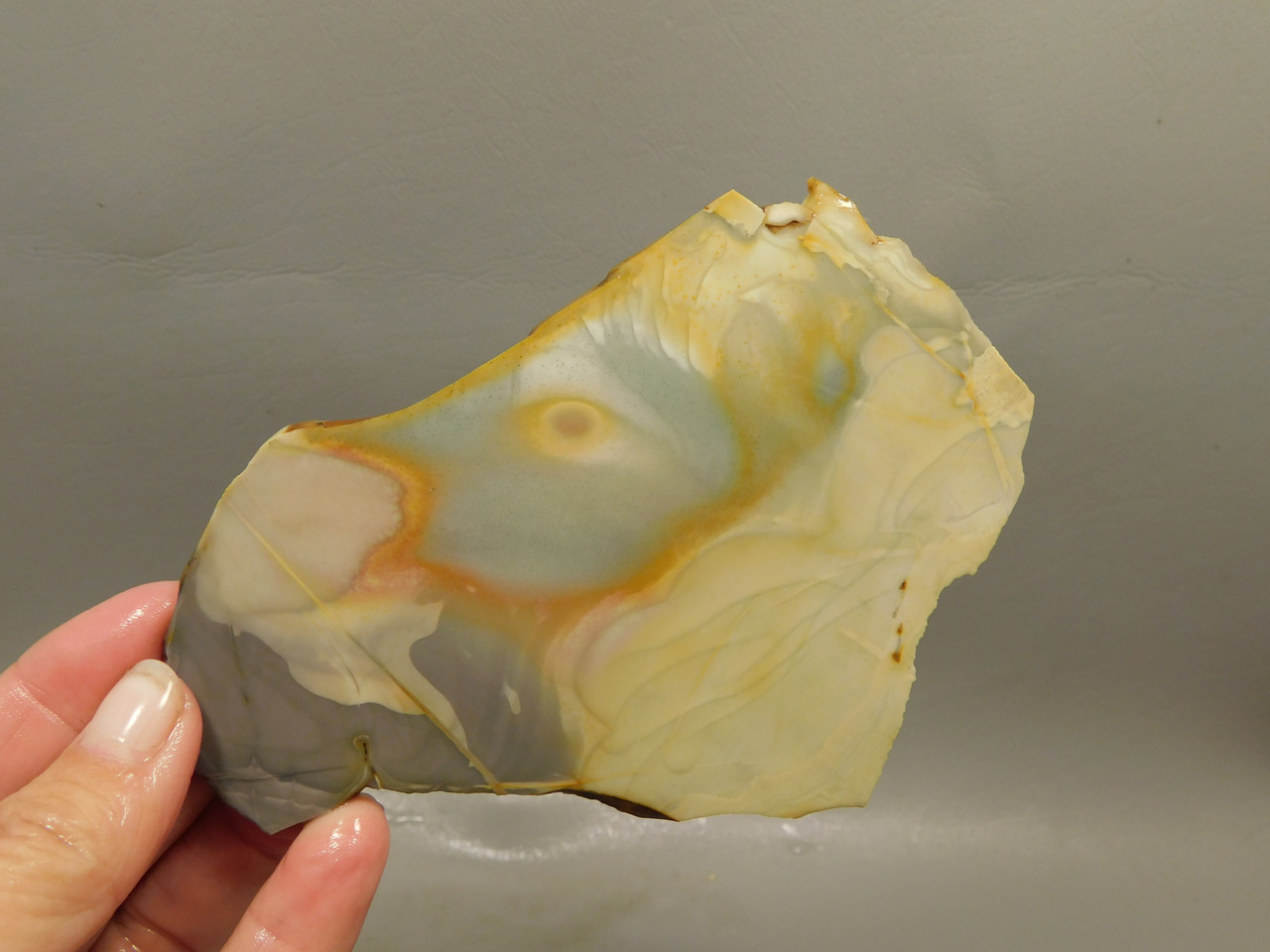 Willow Creek Picture Jasper Rough Rock Stone Slab Lapidary Idaho #O9