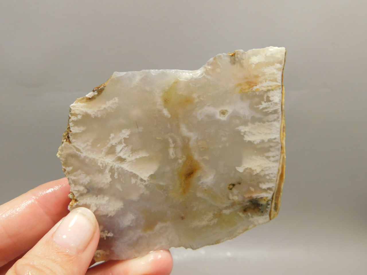 Graveyard Point Plume Agate Stone Slab Unpolished Rock Oregon #O8