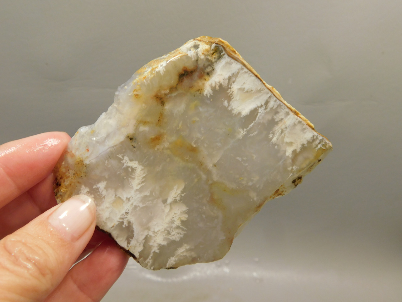 Graveyard Point Plume Agate Stone Slab Unpolished Rock Oregon #O8