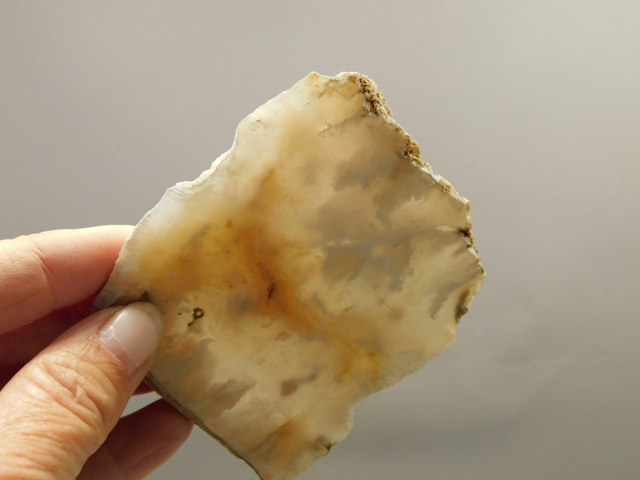 Graveyard Point Plume Agate Stone Slab Unpolished Rock Oregon #O8