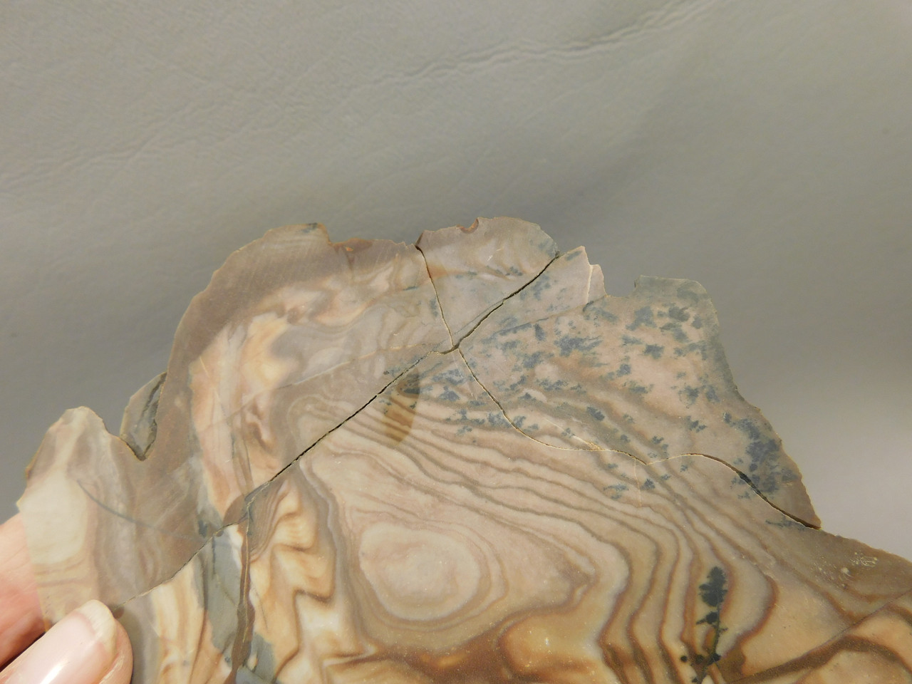 Blue Biggs Picture Jasper Unpolished Rough Rock Oregon #O2