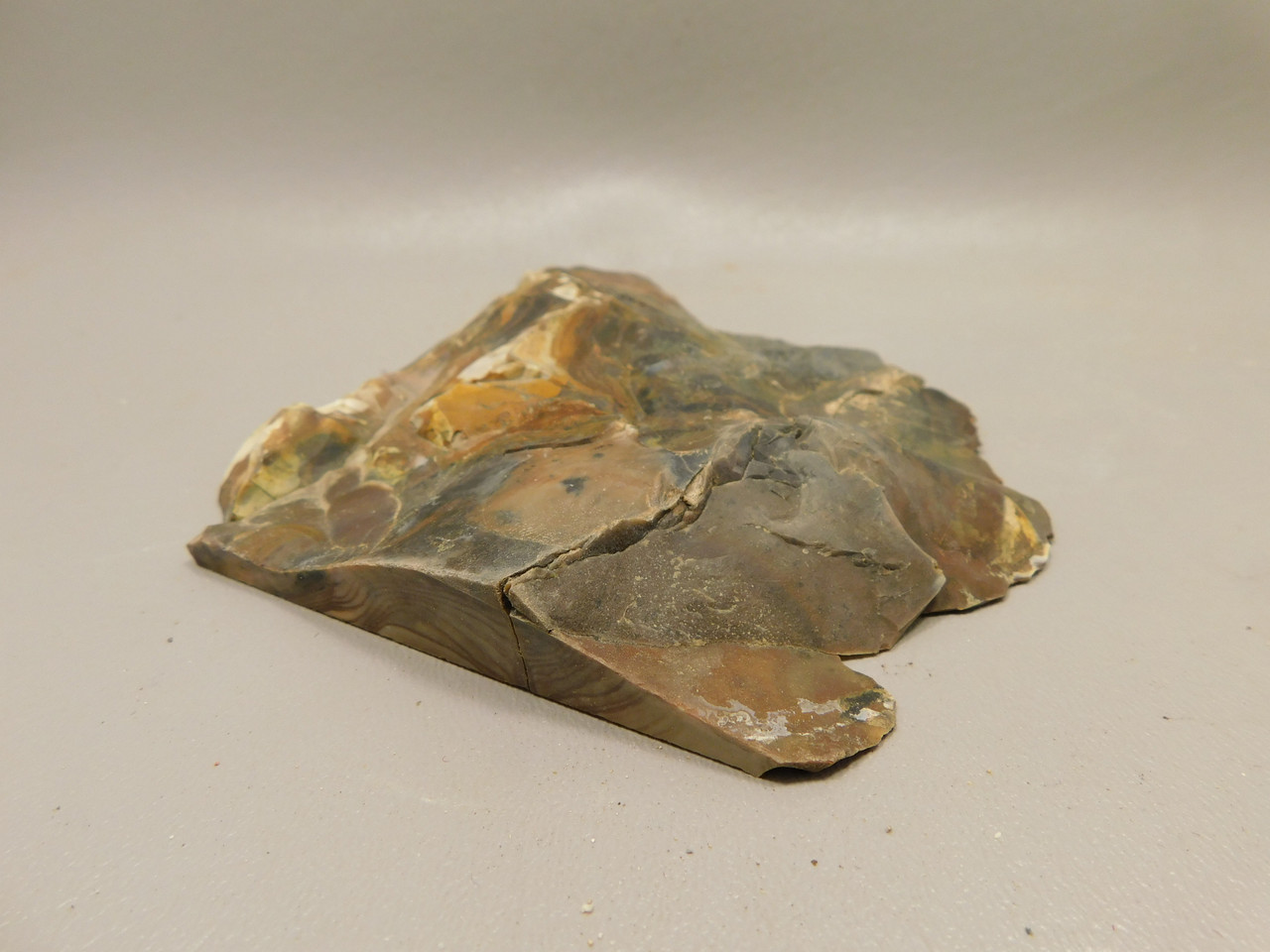 Blue Biggs Picture Jasper Unpolished Rough Rock Oregon #O2