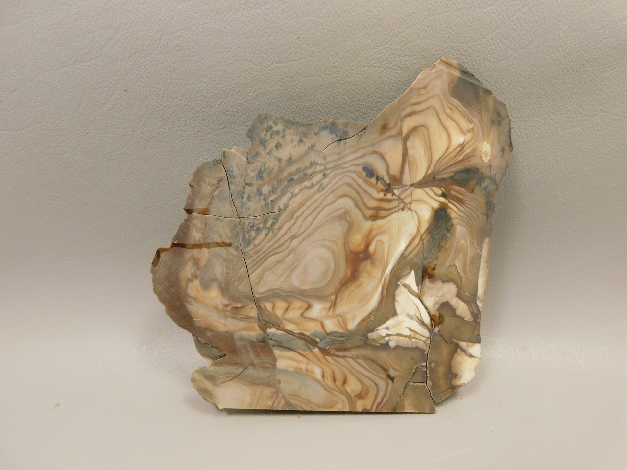 Blue Biggs Picture Jasper Unpolished Rough Rock Oregon #O2