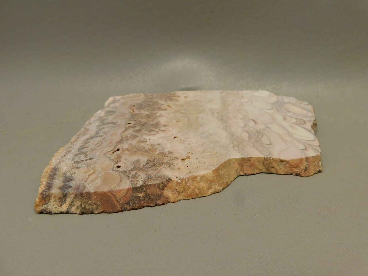 Wave Dolomite Unpolished Stone Slab Wavy or Rolling Hills Rock #O1