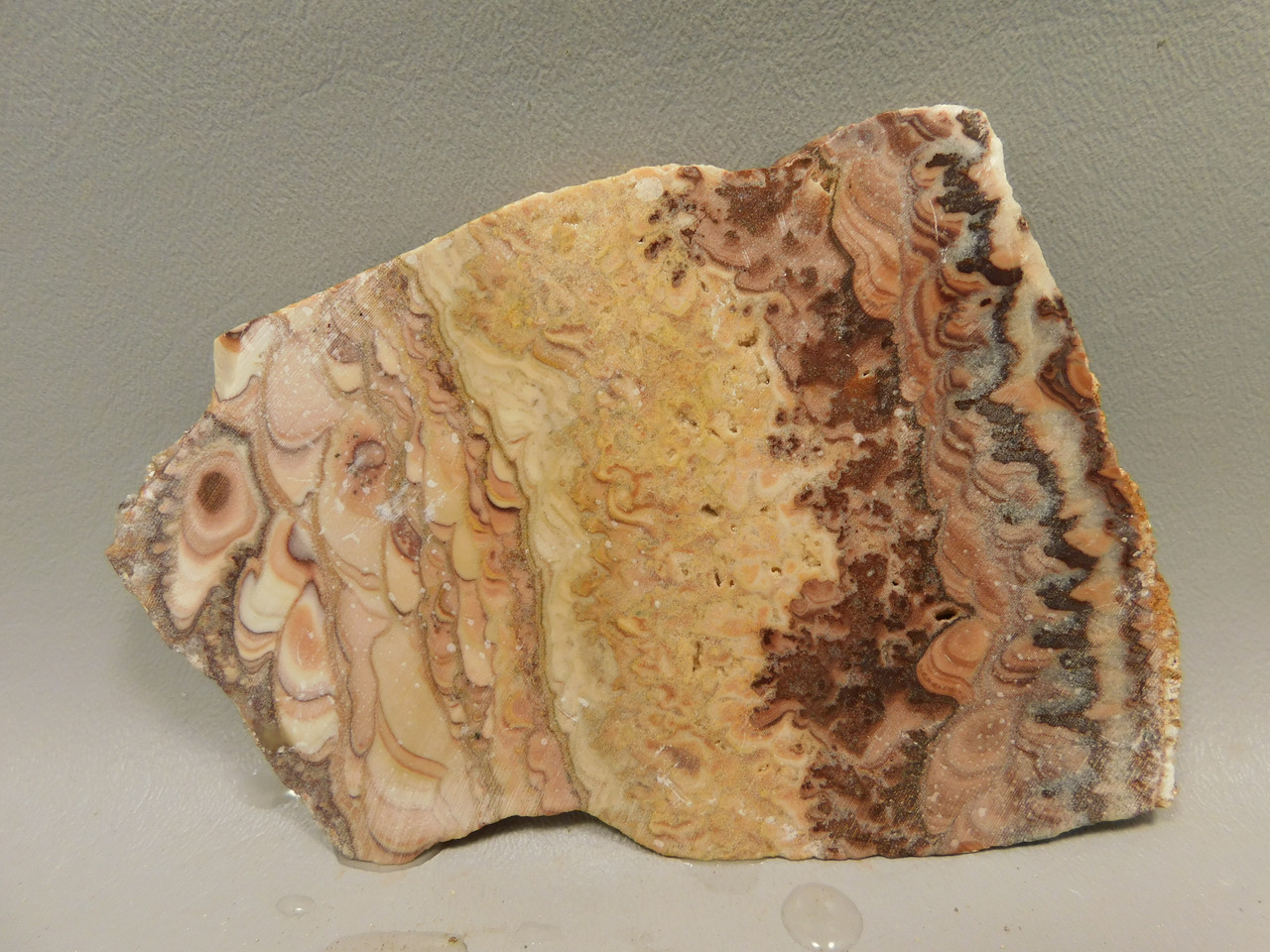 Wave Dolomite Unpolished Stone Slab Wavy or Rolling Hills Rock #O1