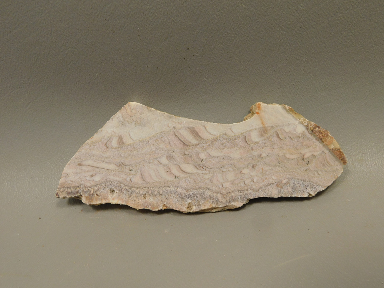 Wave Dolomite Unpolished Stone Slab Wavy or Rolling Hills Rock #O3