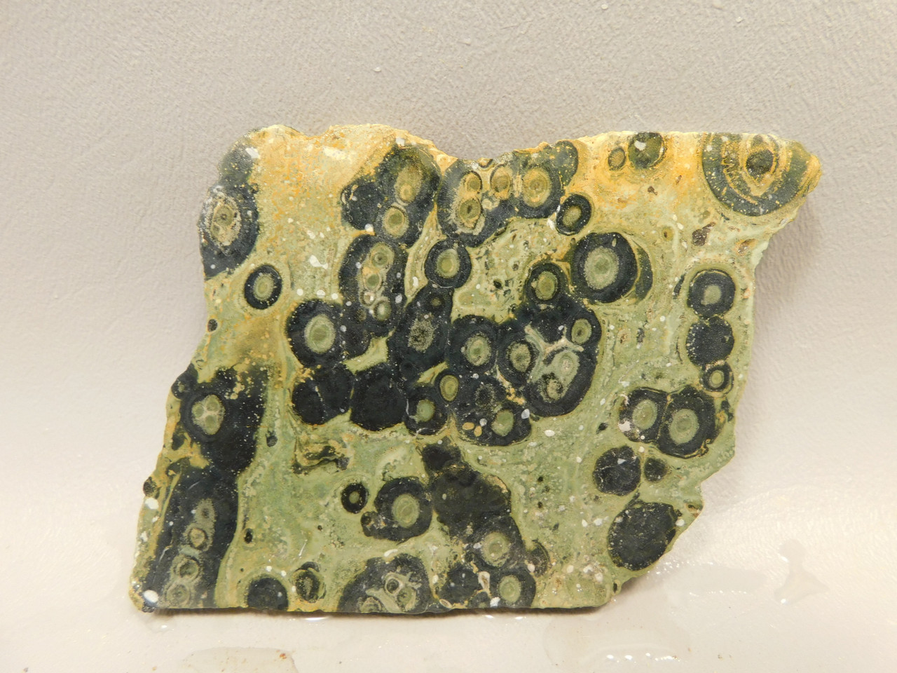 Kabamba Jasper Unpolished Stone Slab Kambaba Rough Rock #O6
