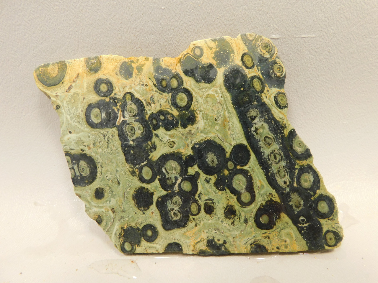 Kabamba Jasper Unpolished Stone Slab Kambaba Rough Rock #O6