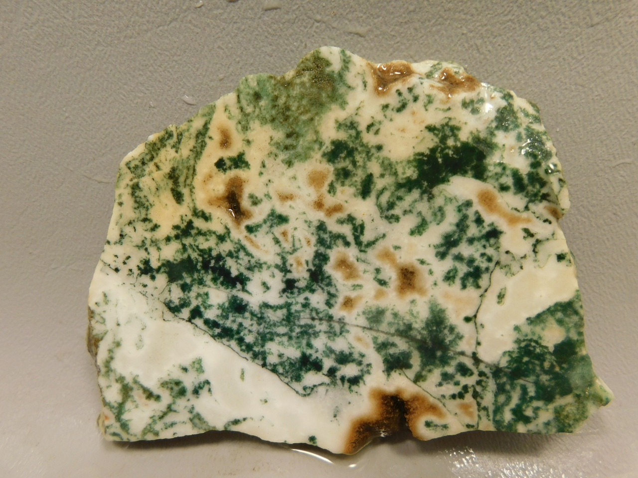 Tree Agate Unpolished Stone Slab Lapidary Rough Rock India #O2