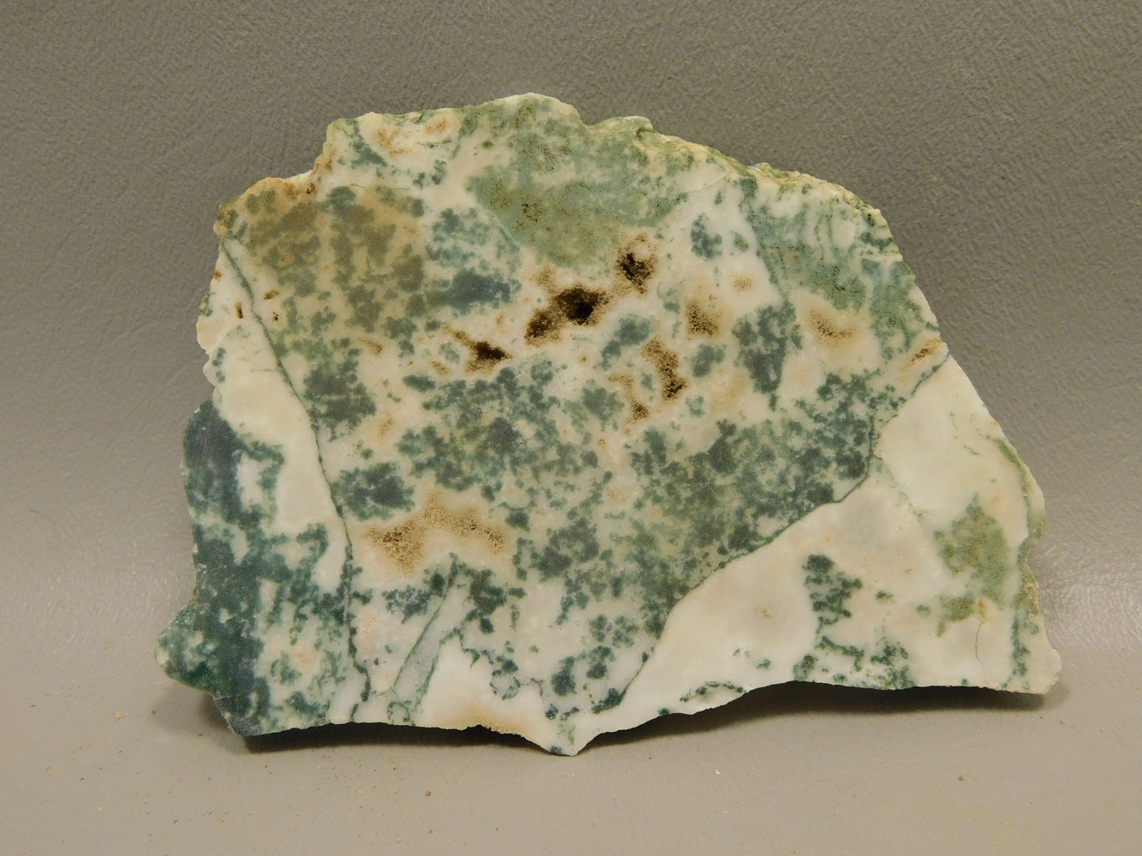 Tree Agate Unpolished Stone Slab Lapidary Rough Rock India #O2