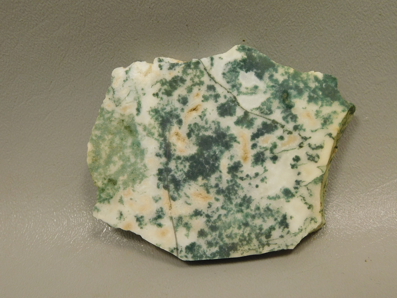 Tree Agate Unpolished Stone Slab Lapidary Rough Rock India #O3