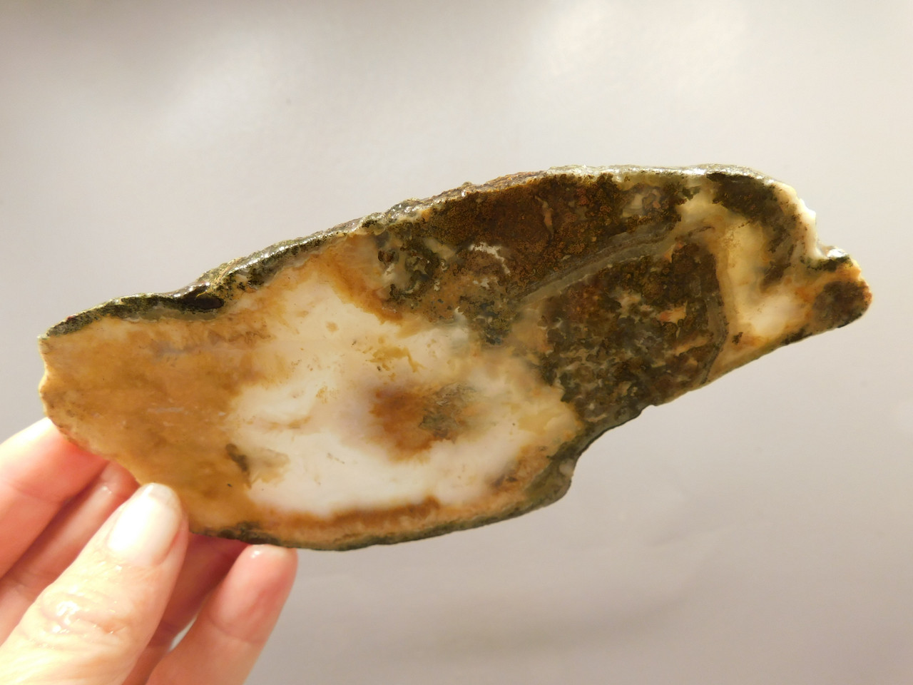 Owls Hole Agate Unpolished Rough Stone Slab Sagenite Death Valley #O1